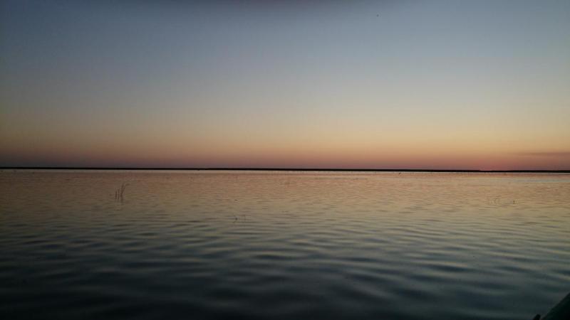DSC_0381.JPG