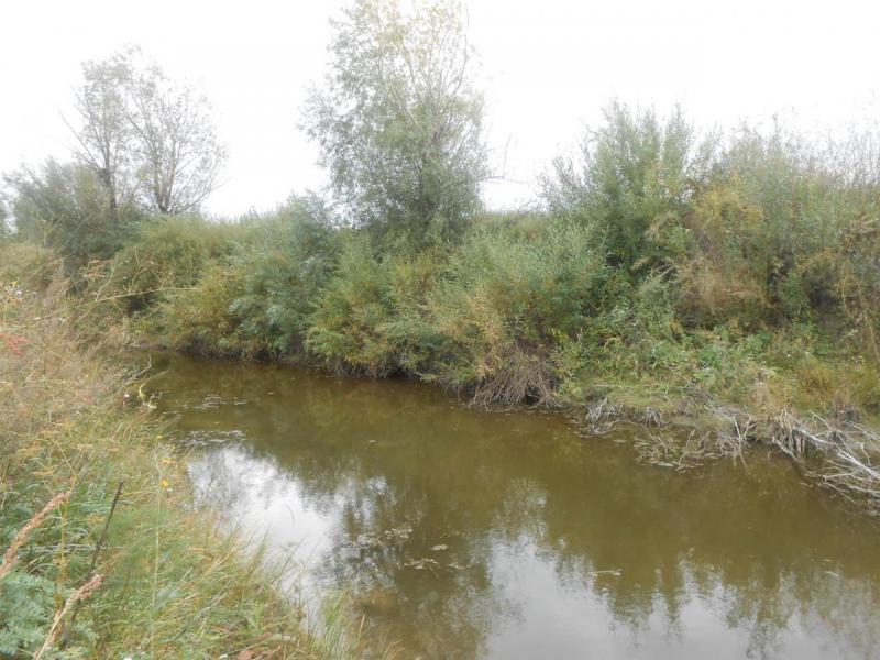 DSCN3197.jpg