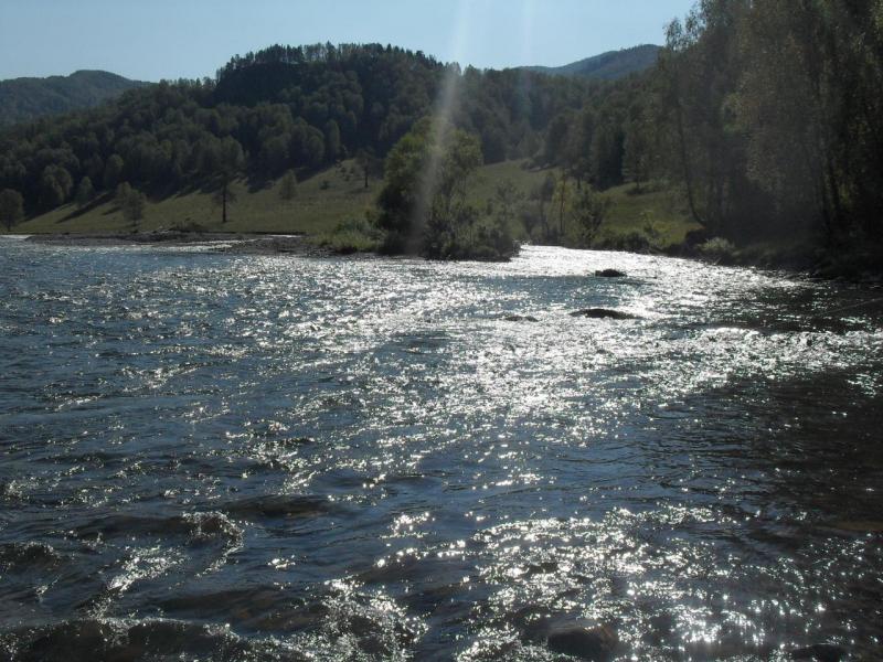 SDC11649.JPG