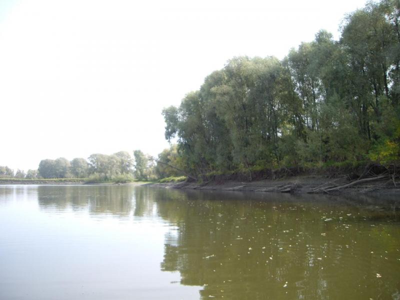 IMGP2742.JPG