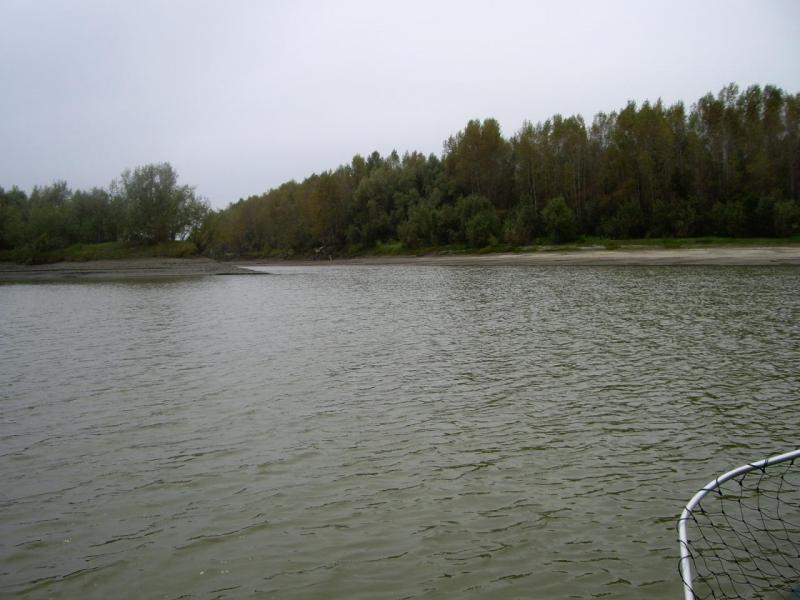 IMGP2762.JPG