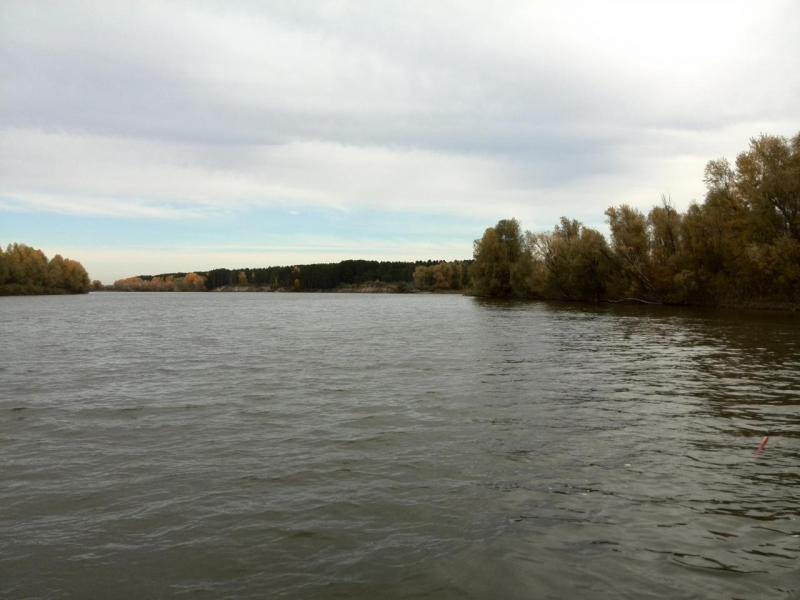IMG_20140928_112559.jpg