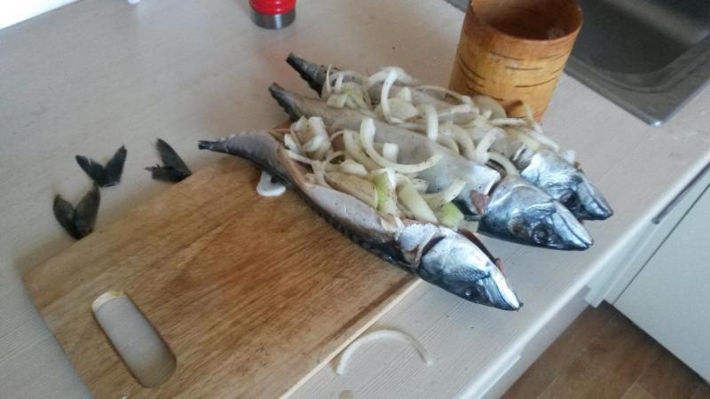 20140927_085530.jpg