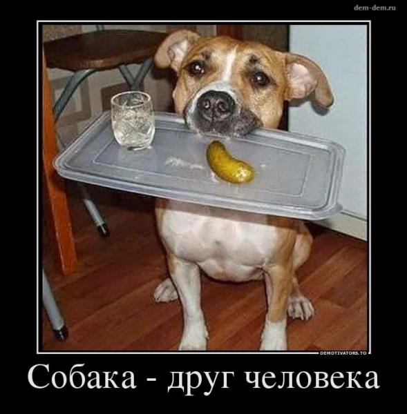 3496248_f6f44dd0.jpg