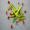 post-3200-0-92140300-1536911301_thumb.jp