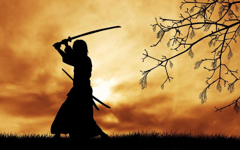 silhouette-warrior-bushido-the-way-warrior-spirit-law-samurai-samurai-samurai-sword-katana-morning-tree-branches-serenity-nature-beautiful-background-beautiful-background-wallpaper (1).jpg