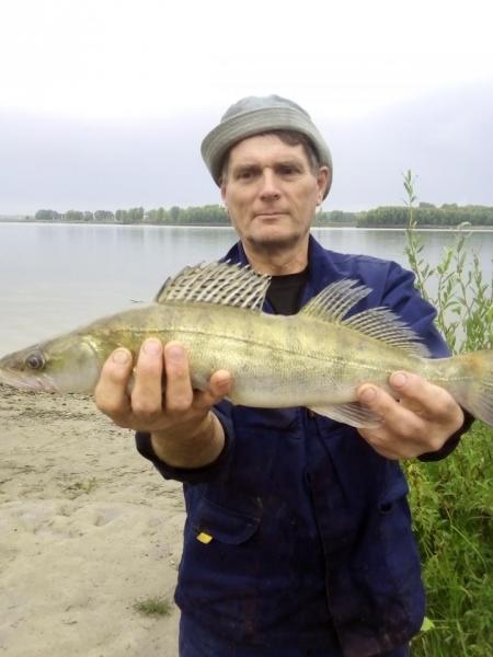 Прикрепленное изображение