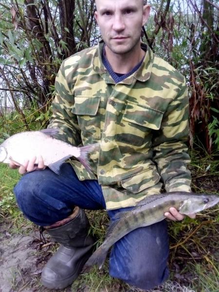 Прикрепленное изображение