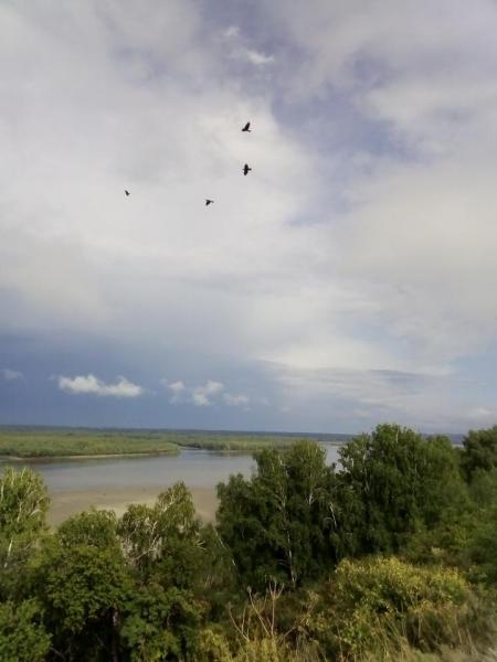 Прикрепленное изображение