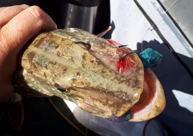 Прикрепленное изображение