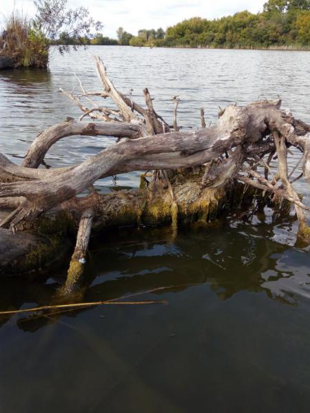 Прикрепленное изображение: IMG_20180909_113342.jpg