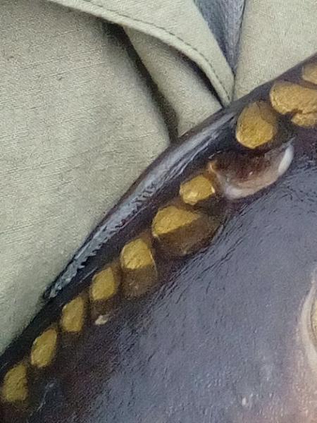 Прикрепленное изображение: IMG_20180902_181524.jpg