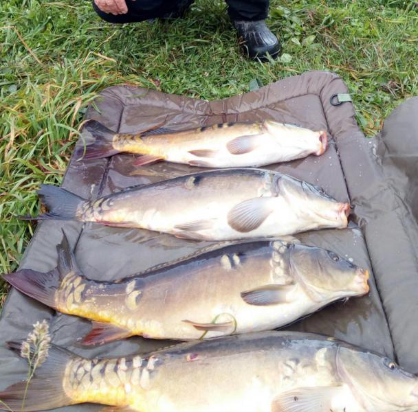 Прикрепленное изображение: IMG_20180910_094001.jpg