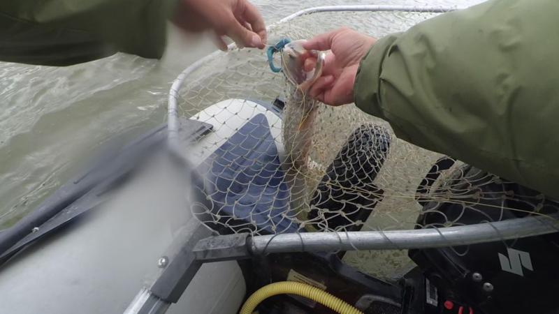 Прикрепленное изображение: vlcsnap-2018-09-20-13h34m14s571.jpg