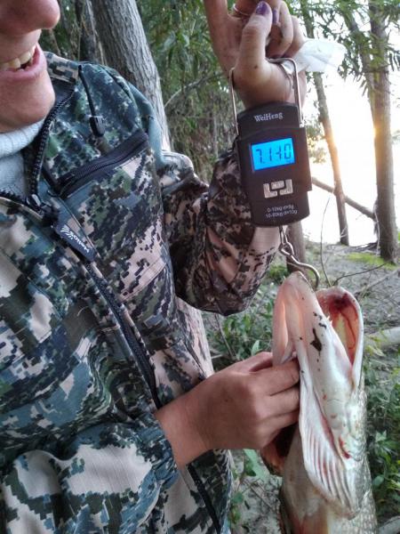 Прикрепленное изображение: IMG_20180828_200127.jpg