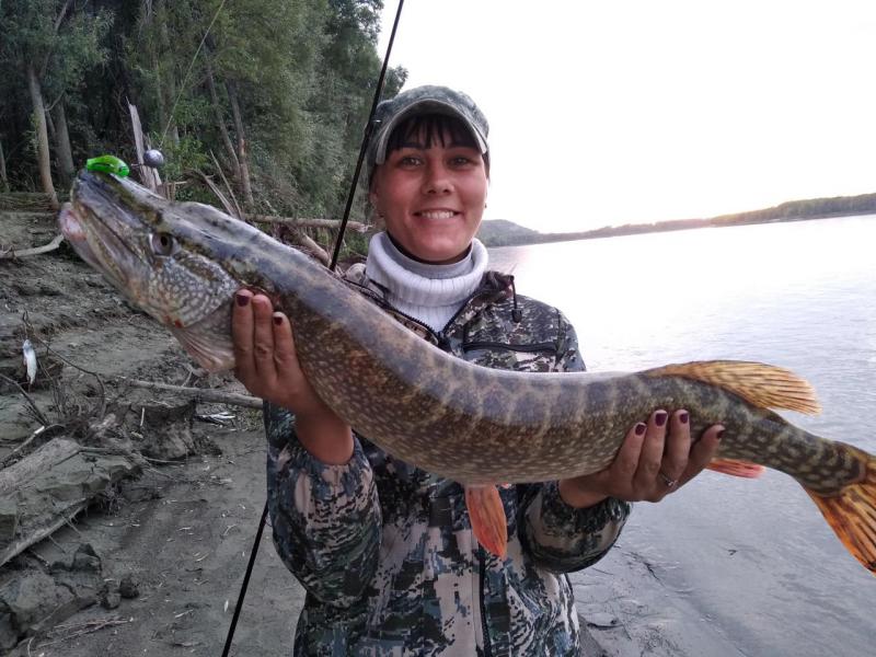 Прикрепленное изображение: IMG_20180828_195901.jpg