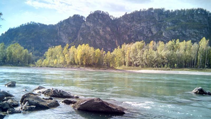 IMG-20180919-WA0001.jpg