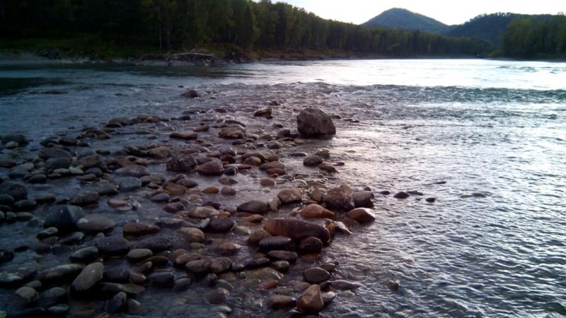 IMG-20180919-WA0010.jpg