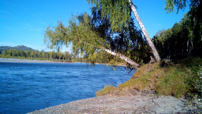 IMG-20180919-WA0008.jpg