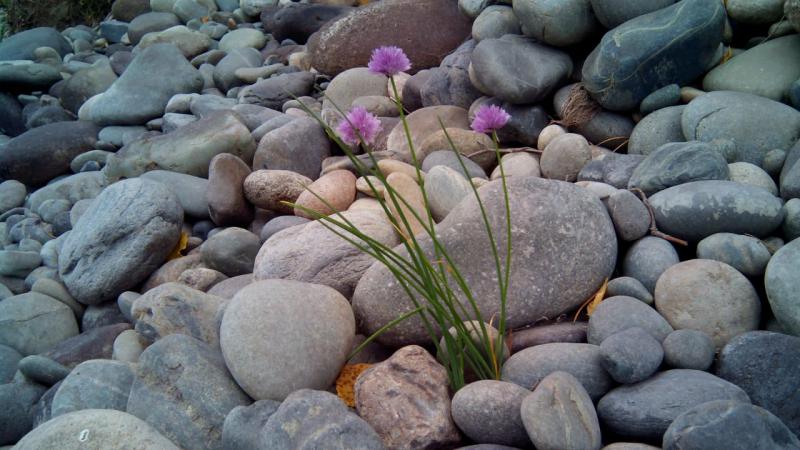 IMG-20180919-WA0009.jpg