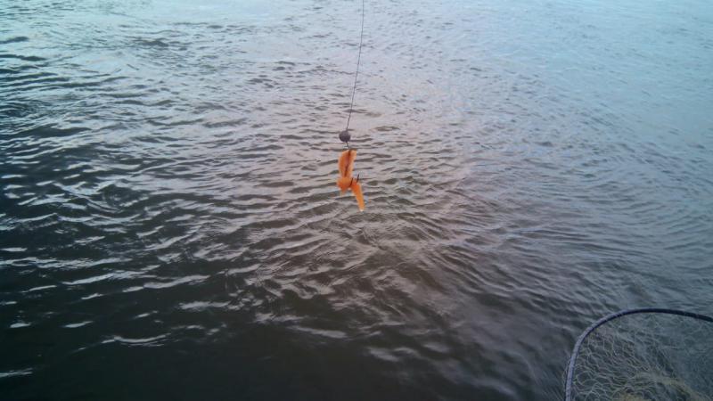 IMG-20180919-WA0003.jpg