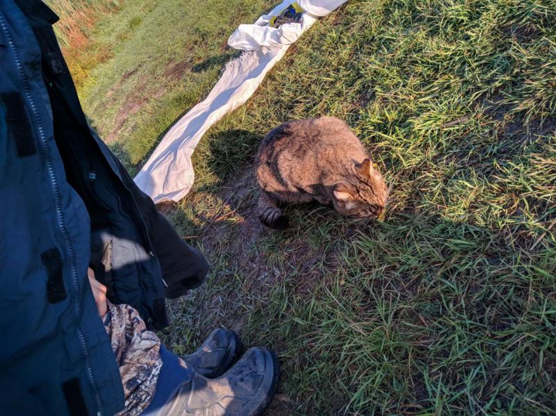 2018-09-08 08-15-10.JPG