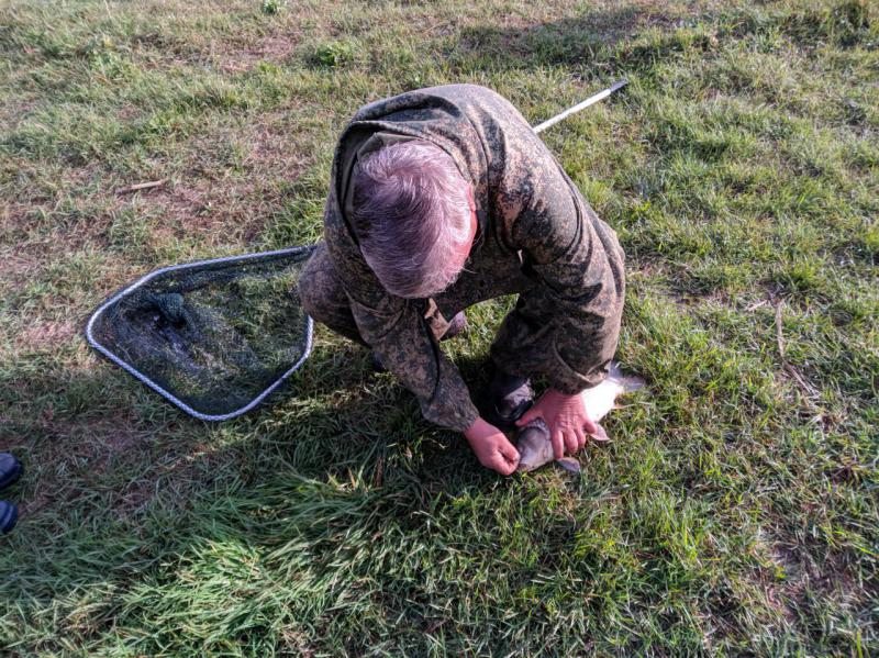 2018-09-08 08-53-37.JPG