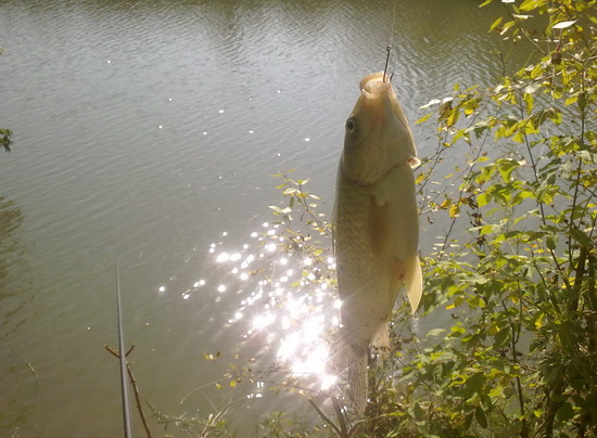 0709201810564.jpg
