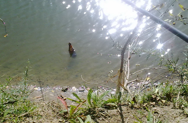 0709201810567.jpg