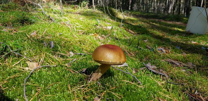 Прикрепленное изображение