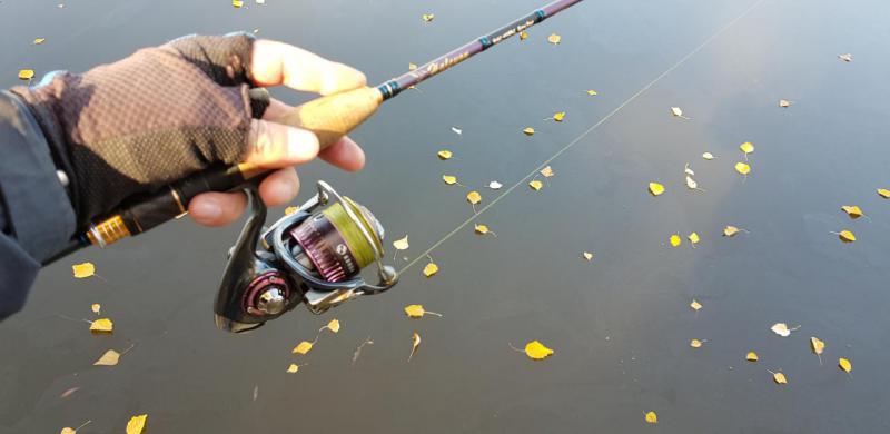 Прикрепленное изображение