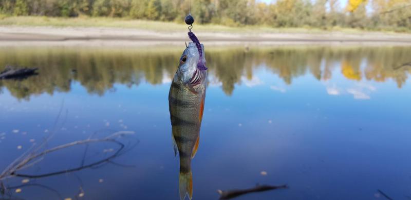 Прикрепленное изображение