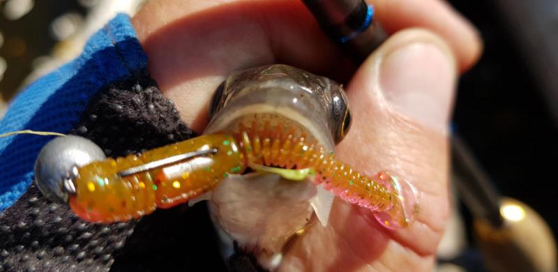 Прикрепленное изображение