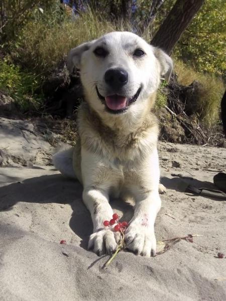 Прикрепленное изображение