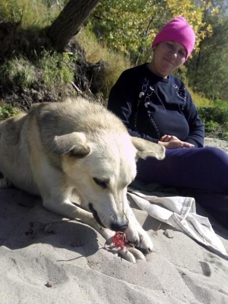 Прикрепленное изображение