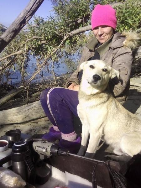 Прикрепленное изображение