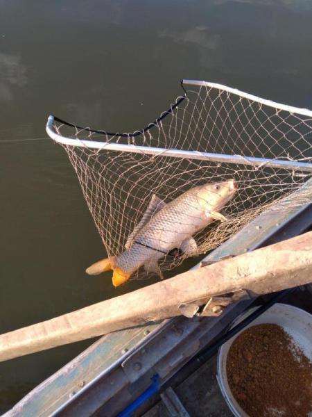 Прикрепленное изображение