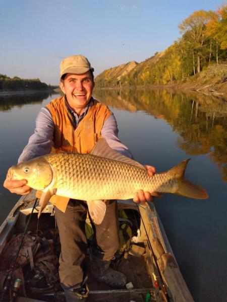 Прикрепленное изображение