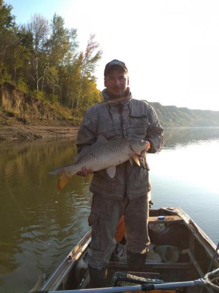 Прикрепленное изображение