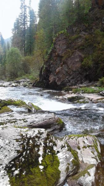 Прикрепленное изображение: IMG-20190911-WA0027.jpg