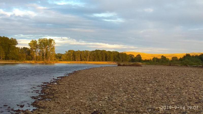 IMG_20190914_190746.jpg
