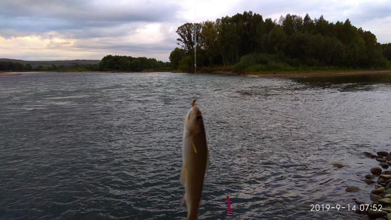 IMG_20190914_075203.jpg