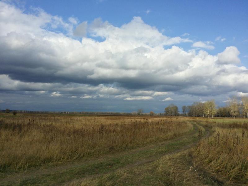 20190928_160239_Richtone(HDR).jpg