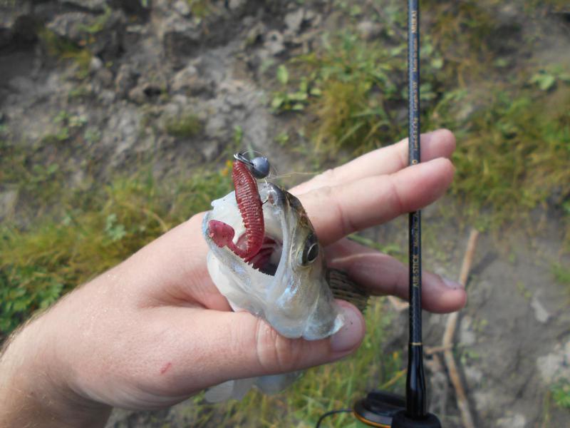 DSCN1613.JPG