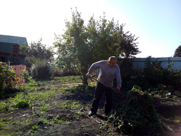 IMG_20190920_121523.jpg