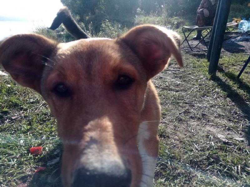 Прикрепленное изображение: IMG_20200912_102013.jpg