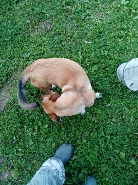 Прикрепленное изображение: IMG_20200911_142421.jpg