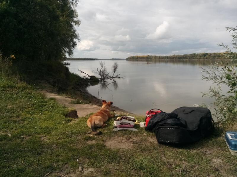 Прикрепленное изображение: IMG_20200911_144044.jpg