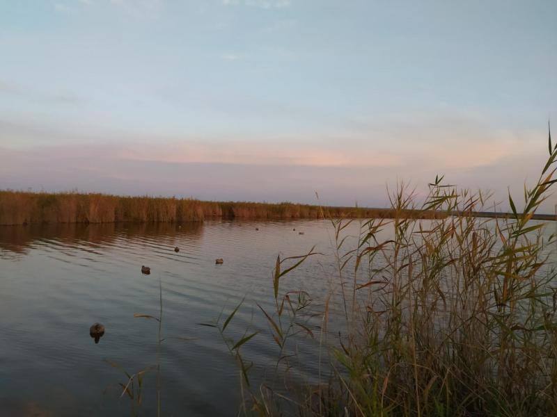 IMG_20200915_193715.jpg