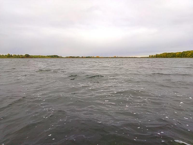 P_20200918_094844_EFF.jpg
